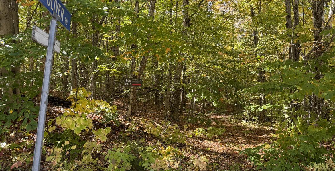 Kushog Lake Road, Algonquin Highlands