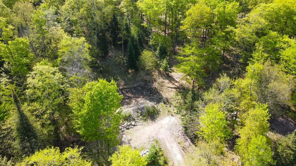 1019 Bushwolf Lake Road, Eagle Lake