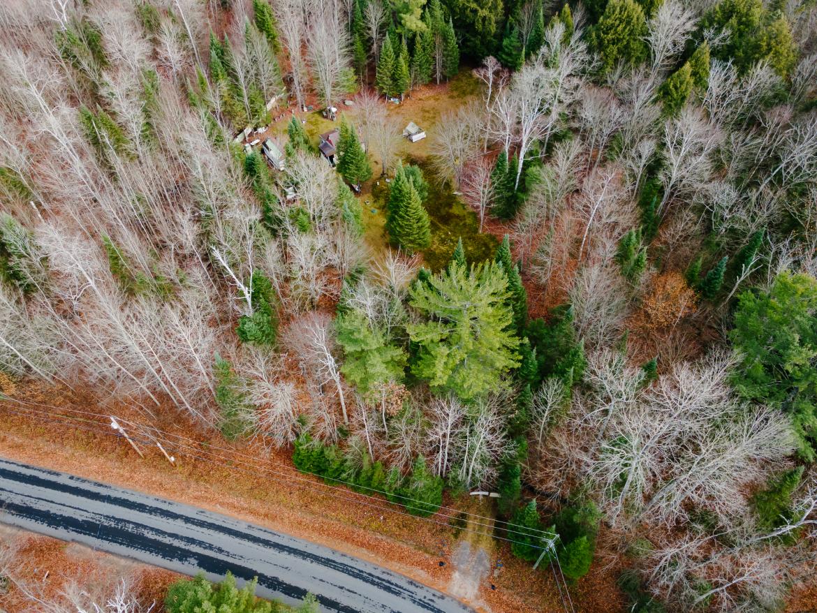 1538 Braeloch Road, Algonquin Highlands