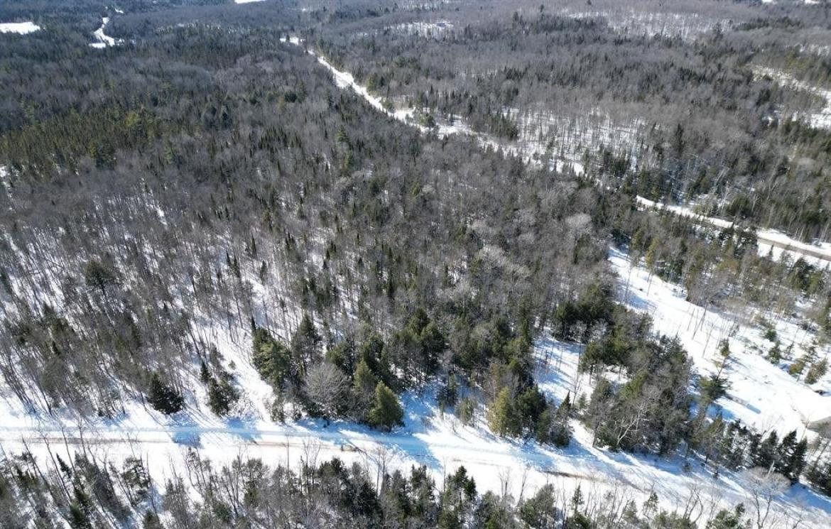 Indian Point Road, Haliburton
