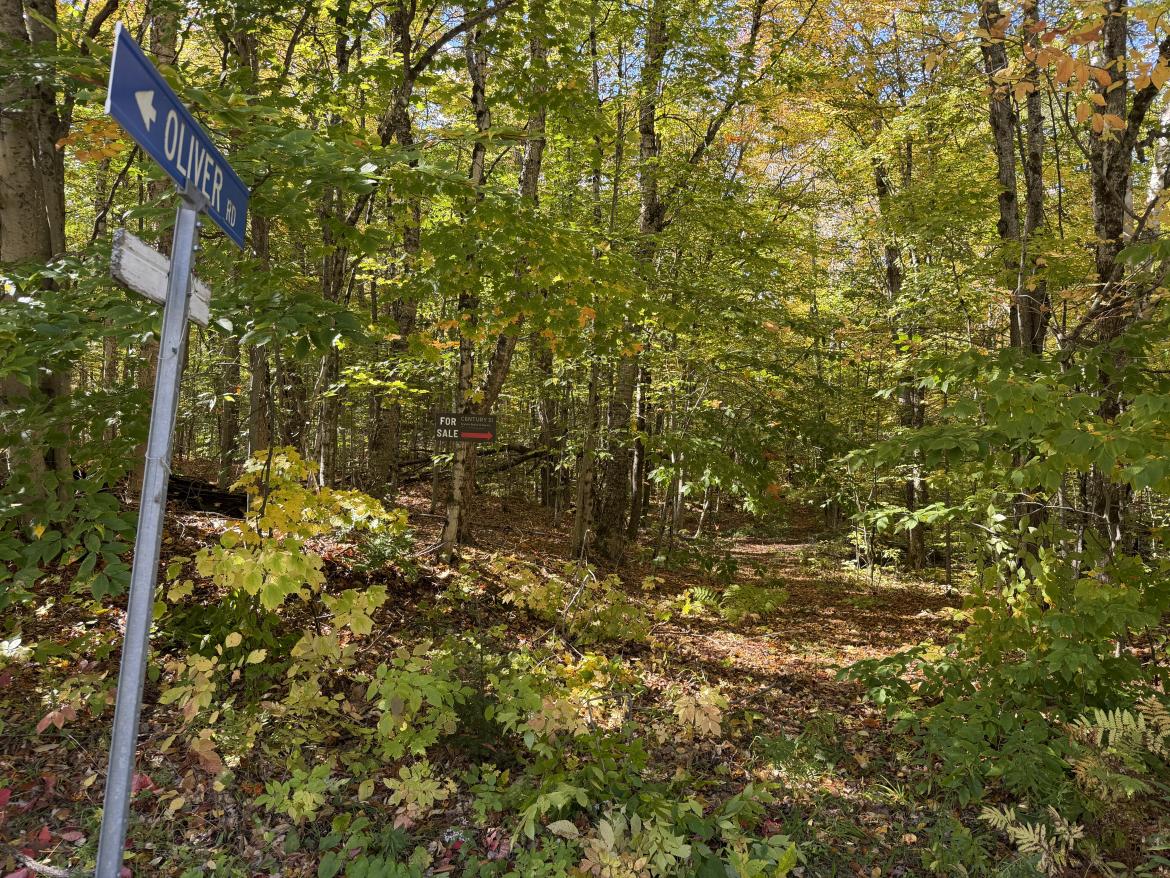 Kushog Lake Road, Algonquin Highlands