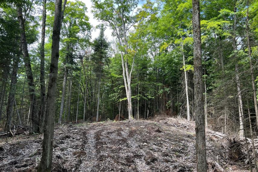2.5 Acres, Lot 26, West Court, Eagle Lake thumbnail