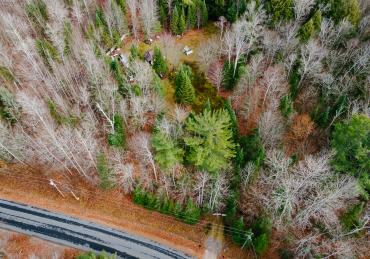 1538 Braeloch Road, Algonquin Highlands thumbnail